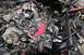 1996 Ford Bronco - Close-up view of a vehicle's engine bay, showing intricate mechanical components and wiring.