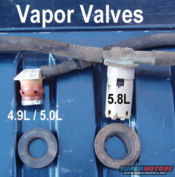 vaporvalves.jpg Vapor Valves

The smaller valve ([url=https://www.amazon.com/dp/B008D33ZF8/]E7DZ-9B593-A[/url]) uses a thicker (smaller I.D.) grommet (E3EC9B076AA or [url=https://www.amazon.com/dp/B000O023KG/]F6TZ-9B076-AA[/url]) to fit in the same fuel tank hole as the larger valve ([url=https://www.amazon.com/dp/B000O0P93O/]E8UZ-9B593-A[/url]) with a thinner grommet ([url=https://www.amazon.com/dp/B01FL48C3Q]E8UA-9B076-AA[/url] or [url=https://www.amazon.com/dp/B01FL48C3Q]E8UZ-9B076-A[/url]).

[url=http://www.supermotors.net/registry/media/1069604][img]http://www.supermotors.net/getfile/1069604/thumbnail/gastankgrmt.jpg[/img][/url] . [url=http://www.supermotors.net/registry/media/283481][img]http://www.supermotors.net/getfile/283481/thumbnail/fuel-tank-bronco.jpg[/img][/url]