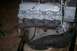 1992 Ford C-350 (Centurion Conversions) - Close-up of an engine block and exhaust manifold, likely from a truck or van.