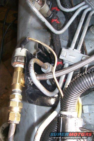 Close-up of engine compartment showing brass fittings, fuel lines, and wiring harness