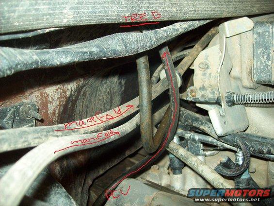 Engine bay hoses labeled 'manifold' and 'PCV'