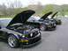 2008 Ford Mustang - At a show this spring ,427R,428R and Black Jack.