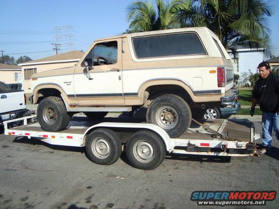 1986 Ford Bronco on a trailer, tan and white two-tone paint, lifted suspension