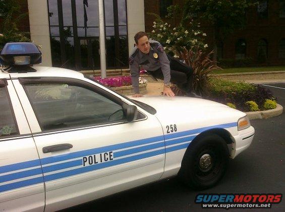 White police car with blue stripes and "POLICE" text, number 258 on fender. Officer on hood