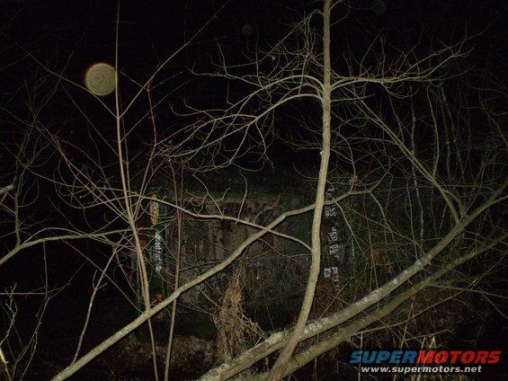 dangerfest-016.jpg 
