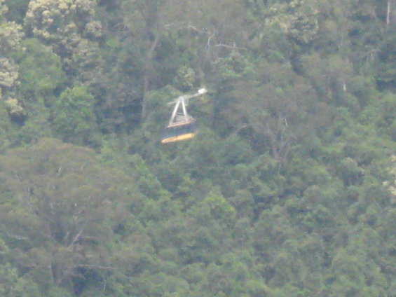 Cable car moving through a heavily wooded mountainside