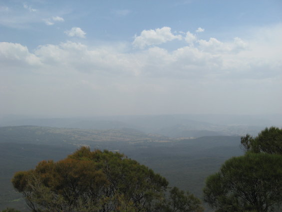 Hazy landscape with trees in the foreground and distant hills under a cloudy sky