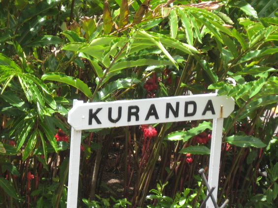 White directional sign pointing to Kuranda, surrounded by lush green foliage and red flowers