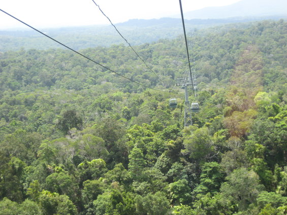 Cable cars travel over a vast, green, forested landscape
