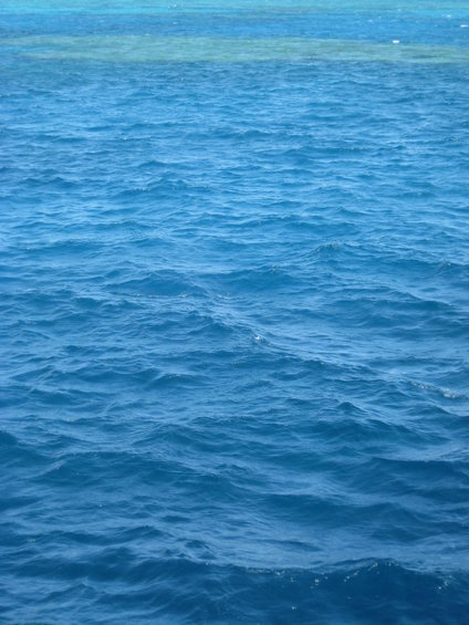 Blue ocean water with small waves, shallow reef visible in the distance