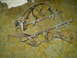 2005 Ford Excursion - Fuel injector rail assembly with injectors and regulator, likely removed for repair or replacement.