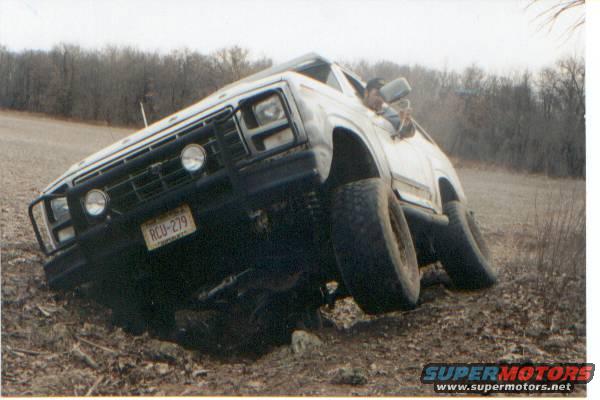 bronco.jpg Early Action