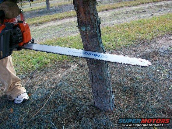 Person using a chainsaw to cut a tree trunk. The chainsaw bar has 'Husqvarna' written on it