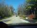 1999 Mercury Grand Marquis - Two cars drive down a tree-lined road on a clear day.