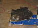 1978 Ford Bronco - A greasy transfer case is shown resting on a blue hydraulic jack.