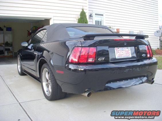 mustang3.jpg 