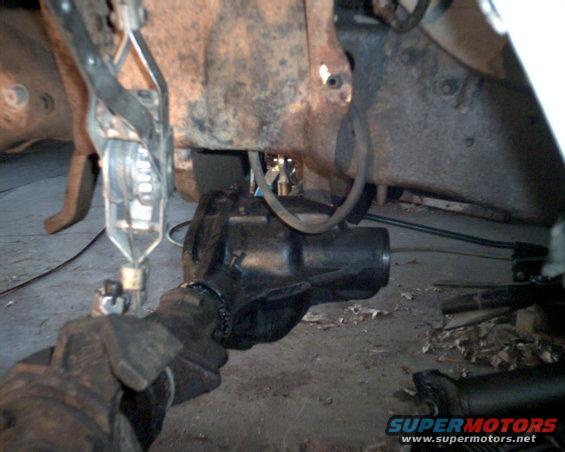 hung3.jpg There needs to be some trimming done