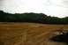 1986 Ford Bronco - A construction site is shown with marked plots in the dirt, a dense treeline in the background, and a bucket loader on the right.