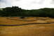 1986 Ford Bronco - An outdoor RC car track is laid out with black tubing defining the course, surrounded by dirt and vegetation.