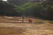 1986 Ford Bronco - A person is compacting the dirt for a track with a small roller.