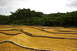 1986 Ford Bronco - An outdoor track for remote-controlled cars winds through a dirt landscape.