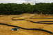 1986 Ford Bronco - Remote control cars navigate a dusty dirt track with black tubing defining the course.