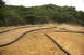 1986 Ford Bronco - RC car racing on a dusty dirt track surrounded by trees.