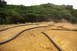 1986 Ford Bronco - A remote control car navigates a dirt track, kicking up dust amidst lush green foliage.