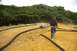 1986 Ford Bronco - A man walks near a remote control car racing on a dirt track with trees in the background.