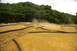 1986 Ford Bronco - A remote control car races on a dusty track, bordered by black tubing, with a dense forest in the background.
