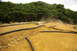 1986 Ford Bronco - RC car racing on a dirt track surrounded by trees.