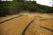 1986 Ford Bronco - A remote control car navigates a dusty dirt track bordered by black pipes and lush green trees.