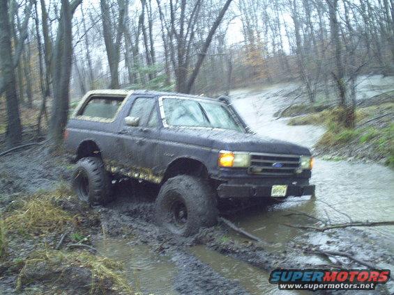 pict0008.jpg 