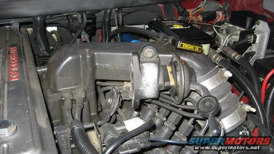 Engine intake manifold with wiring and engine oil cap visible