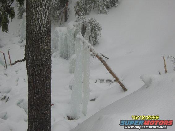 Snowy scene with icicles hanging from branches and a tree trunk in the foreground