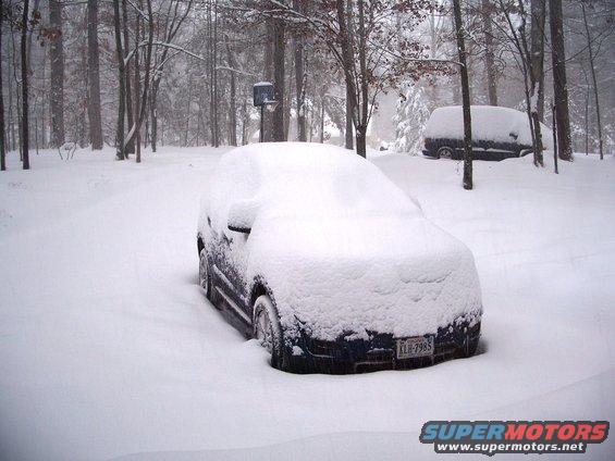 Front view of a dark blue car buried in snow with a license plate visible