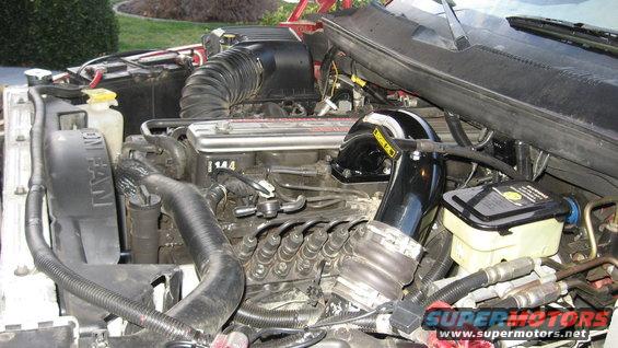 Engine bay of a 1997 Dodge 2500 with visible diesel engine components and hoses