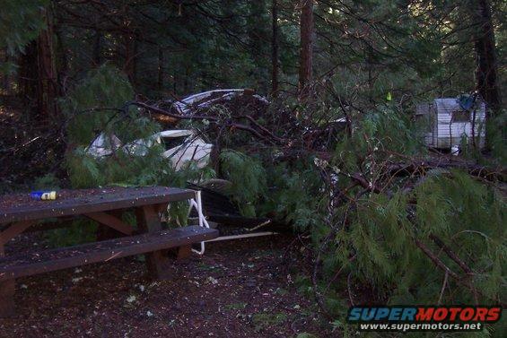 White 1994 Ford F-150 partially obscured by fallen trees and branches