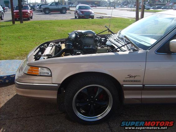 1993 Ford Crown Victoria, front quarter view with hood open showing engine. Sport badging visible on fender