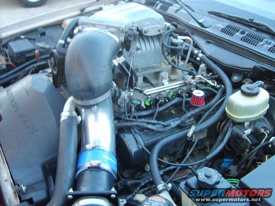 Engine bay of a 1993 Ford Crown Victoria with a supercharger and custom intake piping