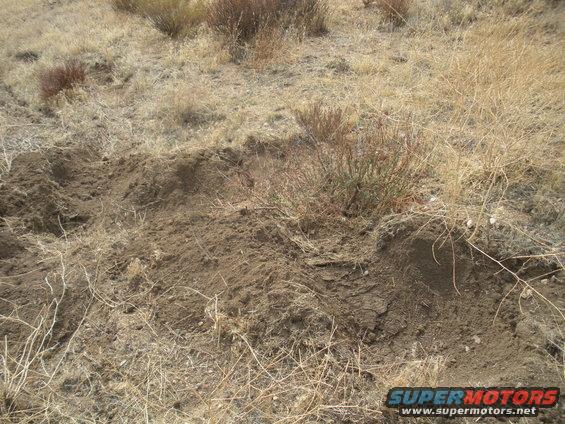 dirt road with tire tracks in dry brush