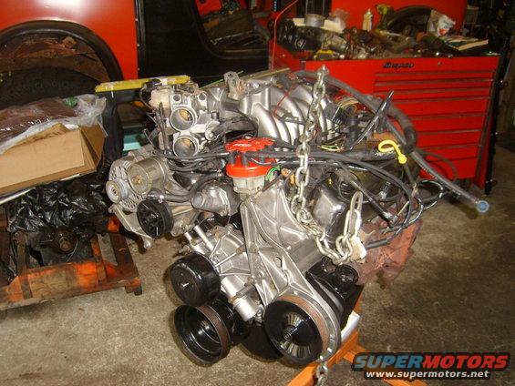 V8 engine with intake manifold, distributor, and alternator on an engine stand