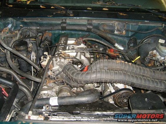 Engine bay with hoses, belts, and engine components visible. Some leaves are on the dashboard