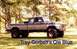 1978 Ford Bronco photo