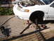 1992 Ford Taurus - Front suspension components removed from a white 1992 Ford Taurus.