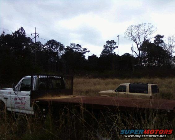 Flatbed truck and an SUV parked in a grassy field with trees in the background