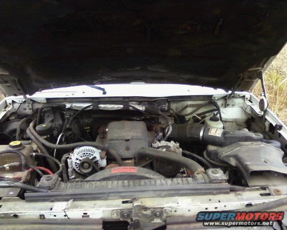 Engine bay of a white truck with the hood open, showing the engine, alternator, and various hoses