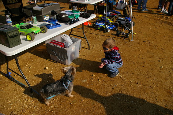 Child in sunglasses crouches near a Yorkshire Terrier by a table with remote control cars and supplies