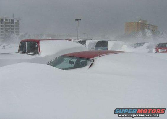 Cars are buried under deep snow drifts with only the roofs visible. Buildings are in the background