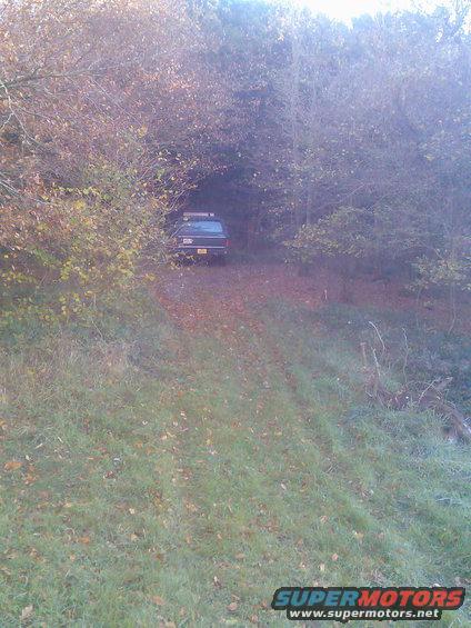 image023.jpg Then straight up the sharp incline and into the woods,never got a car that far up before and the grass was soaking.The photo does`nt show clearly just how steep it is.
